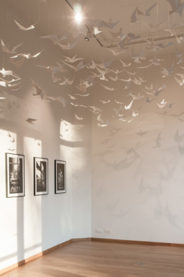 Architecture Particulière