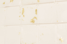 Architecture Particulière